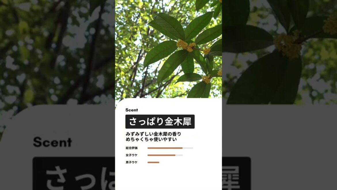 プチプラ金木犀香水　roger&gallet– fleurd’osmanthus(ロジャガレ – フルールド オスマンサス)