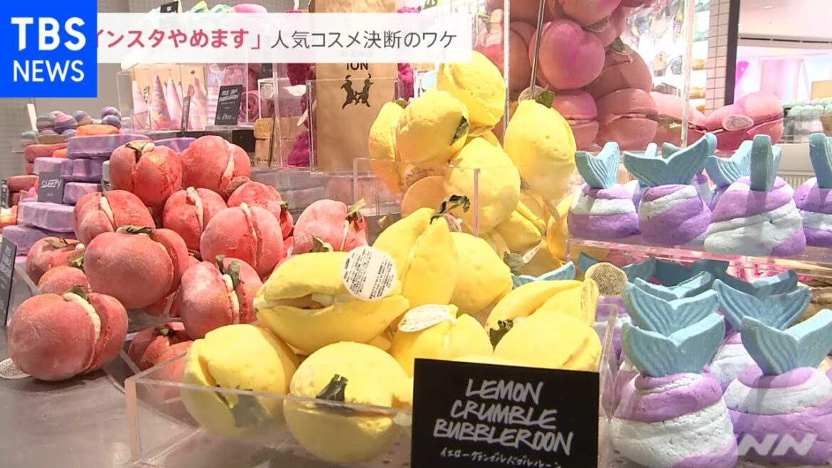ユーザーへの悪影響を懸念 人気コスメがインスタなど一斉に停止 決断のワケ【news23】 ユーザーへの悪影響を懸念 人気コスメがインスタなど一斉に停止 決断のワケ【news23】