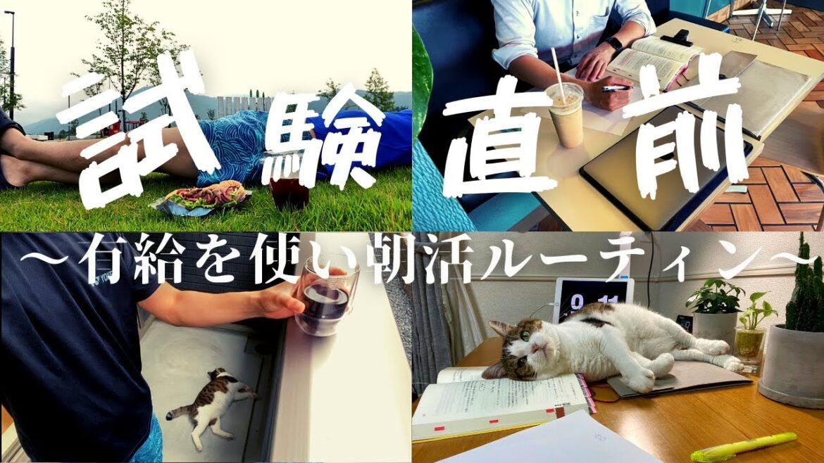 【朝活社会人ルーティン＃０４】有給を使いガチ勉強記録【Study vlog 司法書士 TOEIC】