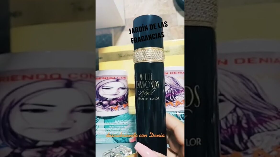 ALTERNATIVA SI TE GUSTAN LOS PERFUMES CHANEL  COCO &COCO NOIR ALTERNATIVA SI TE GUSTAN LOS PERFUMES CHANEL  COCO &COCO NOIR