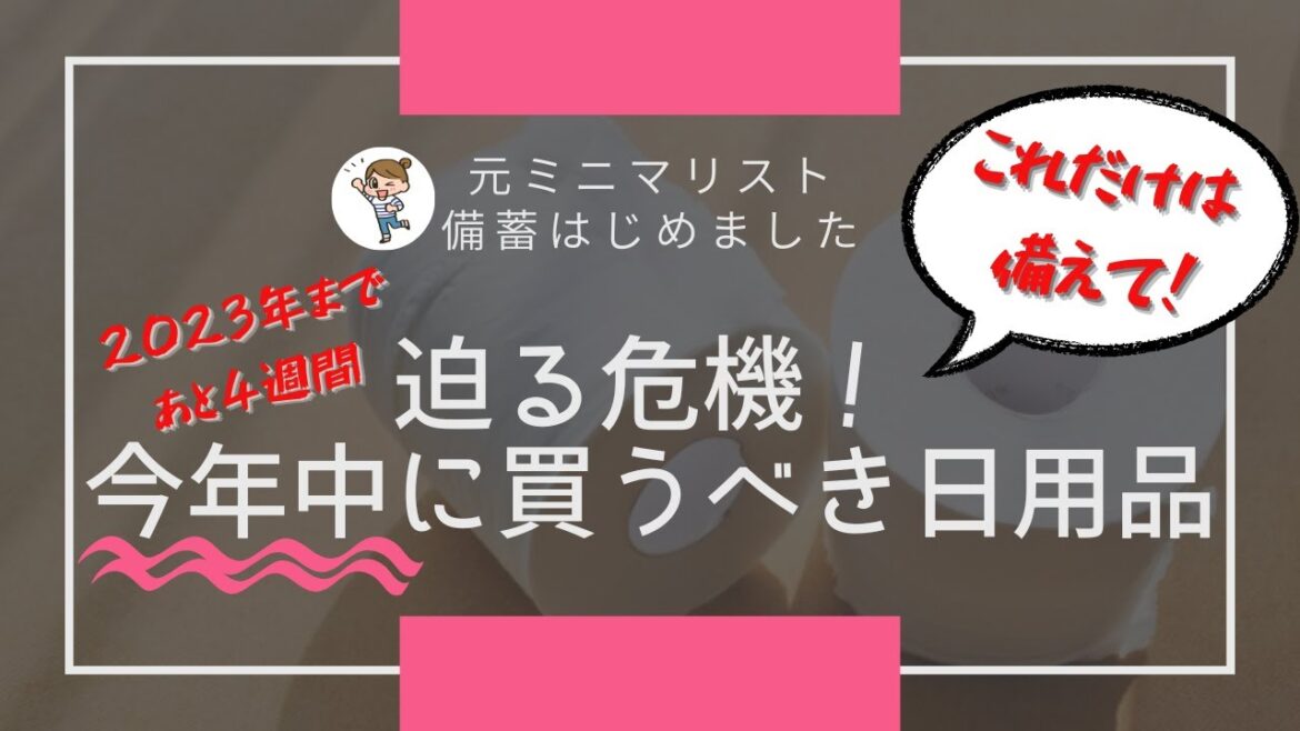 【備蓄最新】来年ヤバイ！危機・さらなる値上げに備えて今年中に備蓄するべき日用品｜食糧危機・物価高騰・値上げに備える｜元ミニマリスト節約主婦