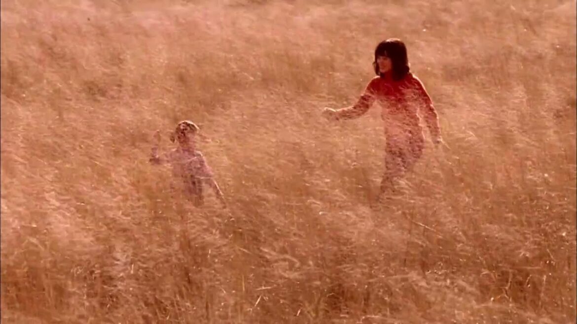 TSUBAKI　ツバキ　資生堂CM　201006015 4