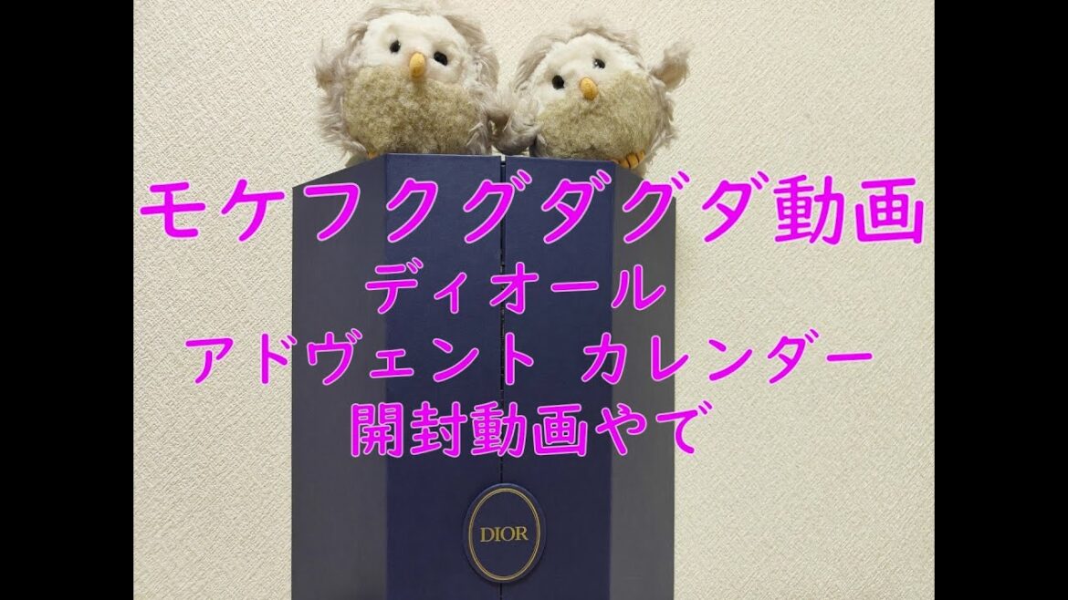 モケフク　グダグダ動画　ディオール アドヴェント カレンダー開封動画やで