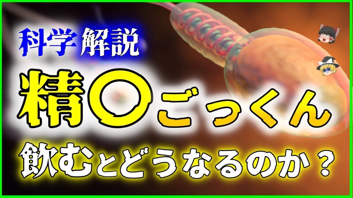 【ゆっくり解説】科学的に実証『精〇』を飲んだらどうなるのか？を解説
