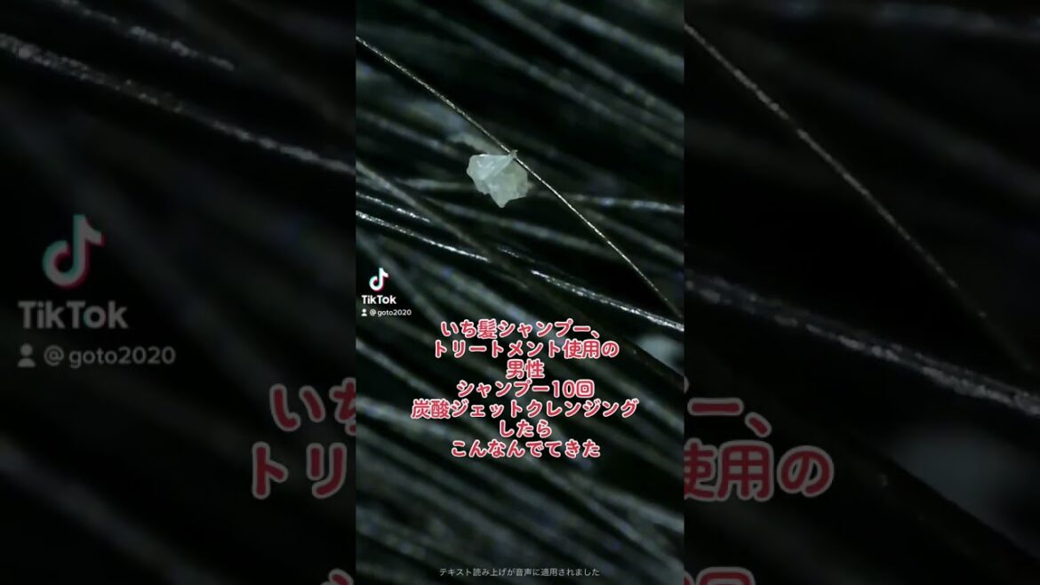 いち髪シャンプートリートメント使用の男性を頭皮クレンジングささたら●●が #tiktok #美容師 #hair #美容 #髪質改善 #髪質改善シャンプー