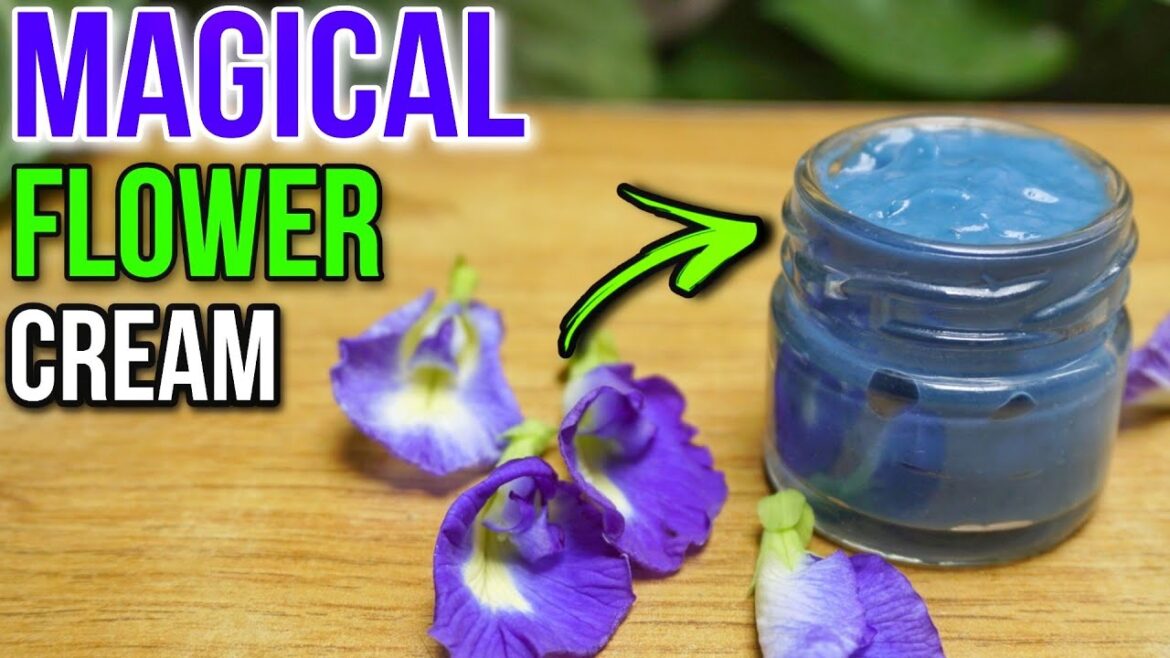Age Kam Karne Wali Cream : Butterfly Pea Flowers ||Best HomeMade Anti-Aging Night Cream
