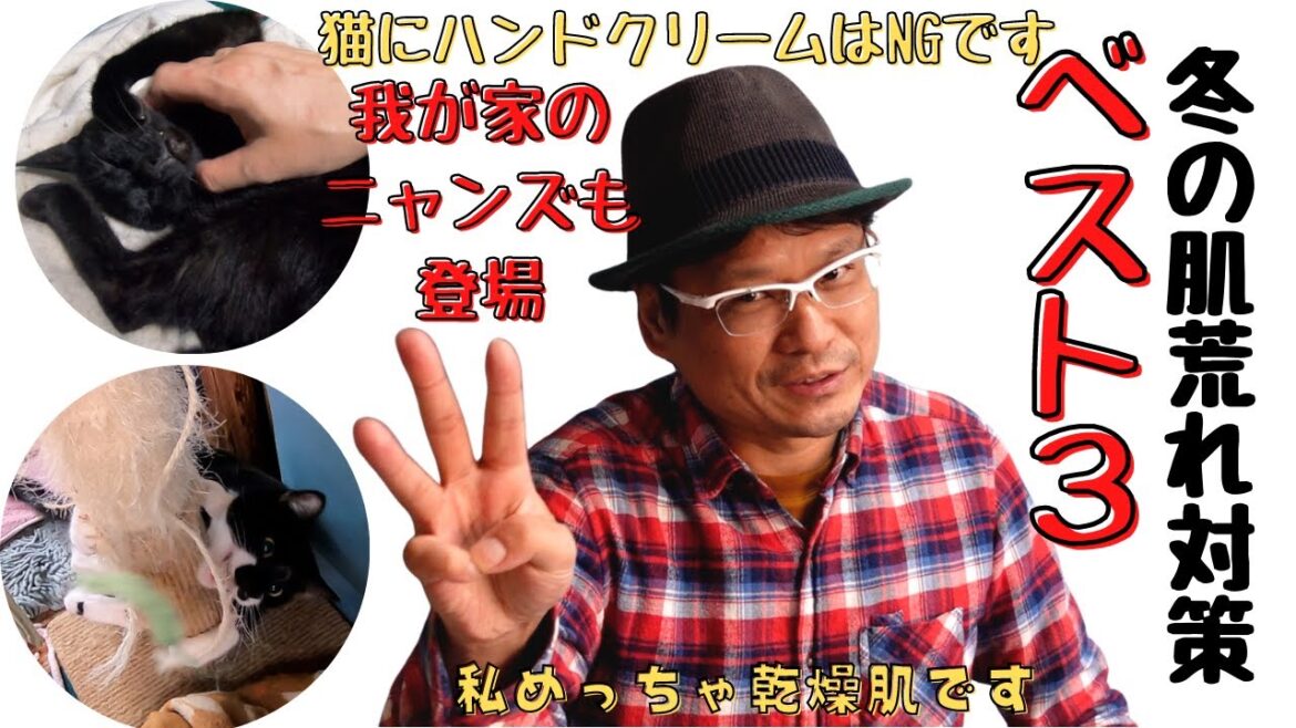 冬の肌荒れ対策ベスト３～猫にハンドクリームはNG～我が家の靴下猫猫と黒猫も登場