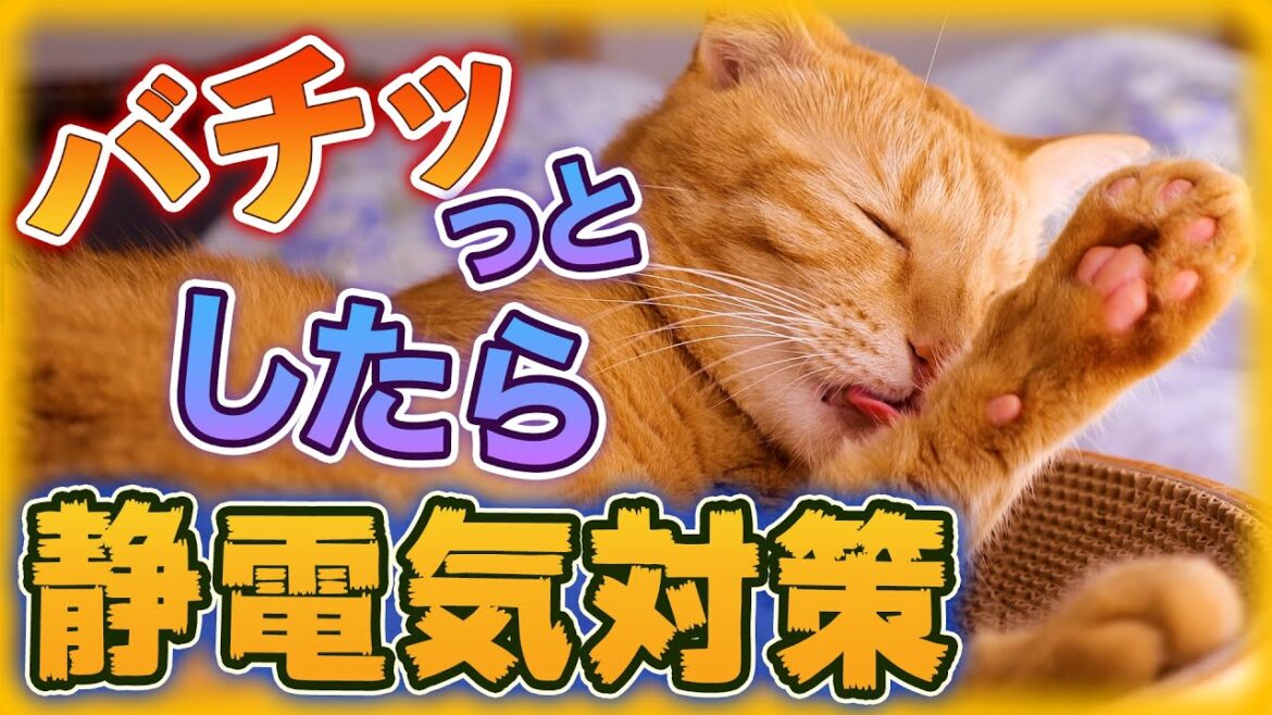 猫が静電気でバチッとする原因と対策を解説します