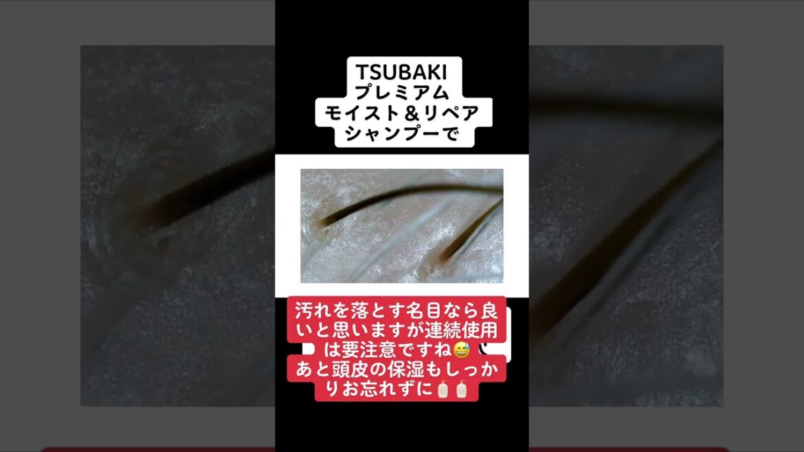 TSUBAKI プレミアム モイスト&リペア シャンプーで洗うと？ #シャンプー #美容 #頭皮 #shorts #皮脂 #乾燥