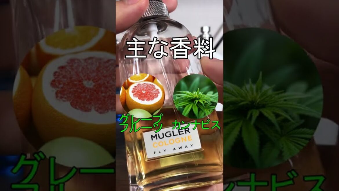 【柑橘系史上No.1】本物と間違うクオリティの香水！　＃shorts
