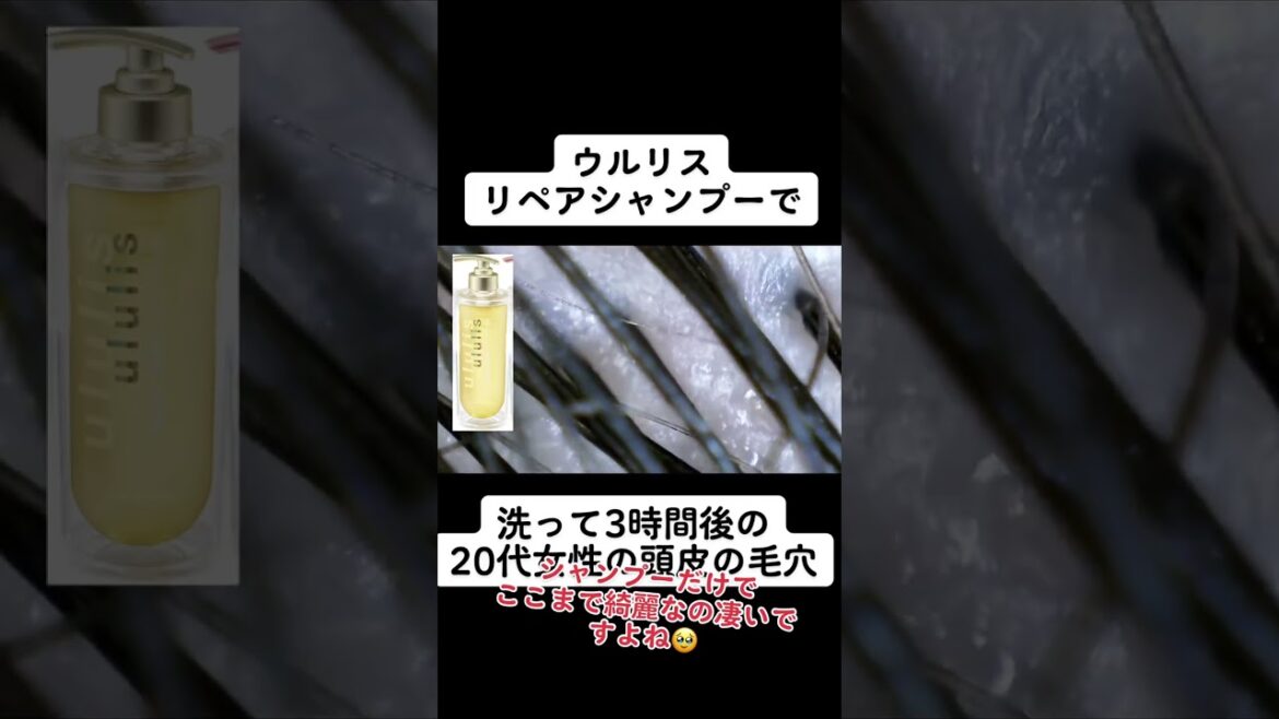 ウルリス リペア シャンプーで洗って3時間後の頭皮は？#シャンプー #美容 #美容院 #頭皮 #shorts #皮脂