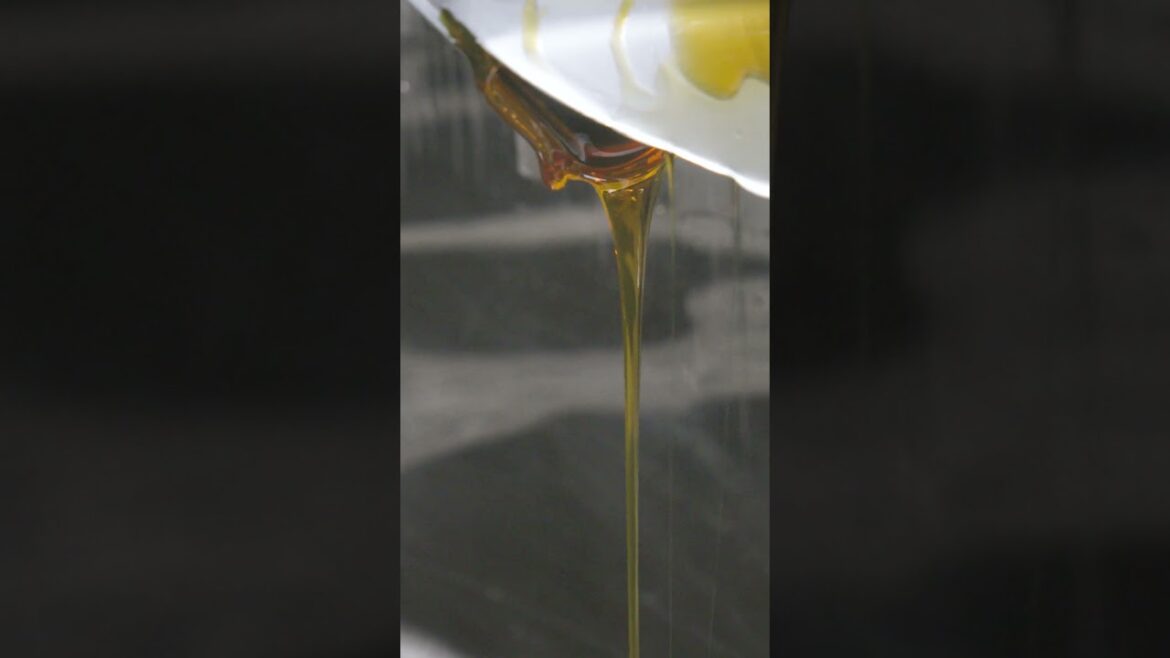 心が躍るのは、フレッシュだから - ソープ『みつばちマーチ』のハチミツ｜LUSH ラッシュ #Shorts