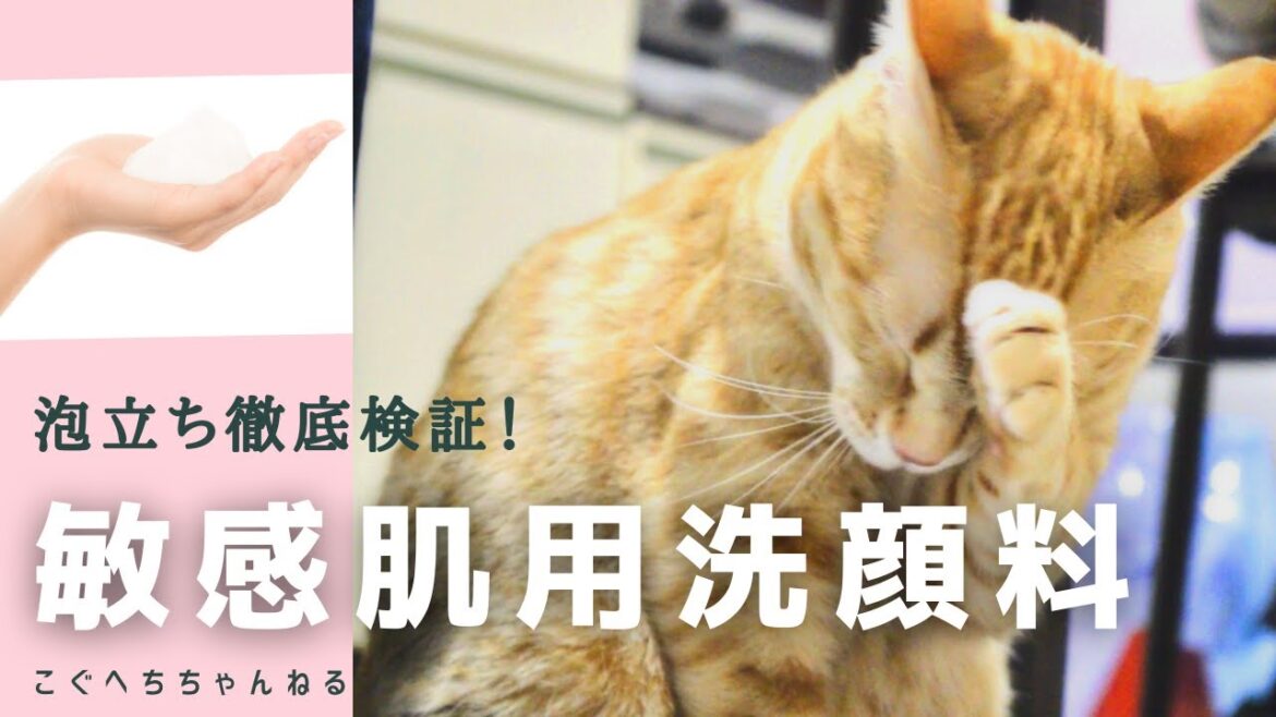 敏感肌用洗顔料は泡立つのか！？ 1,000円以下 摩擦NGの人必見 ドラッグストアで買える洗顔料４選！