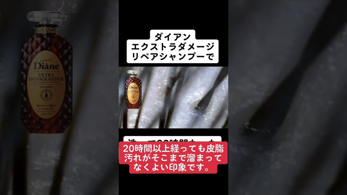 ダイアン エクストラダメージリペア シャンプーで洗って22時間後の頭皮は？ #シャンプー #美容 #頭皮 #皮脂 #shorts
