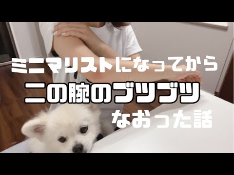 【ミニマリスト】二の腕のブツブツ(毛孔性苔癬)が治った方法 【ミニマリスト】二の腕のブツブツ(毛孔性苔癬)が治った方法