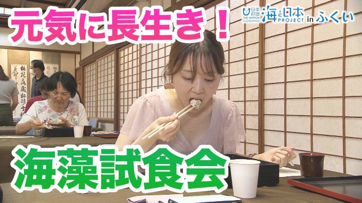 海藻試食会！福井県立大学の研究成果を学び、体験しよう 日本財団 海と日本PROJECT in ふくい 2022 #13