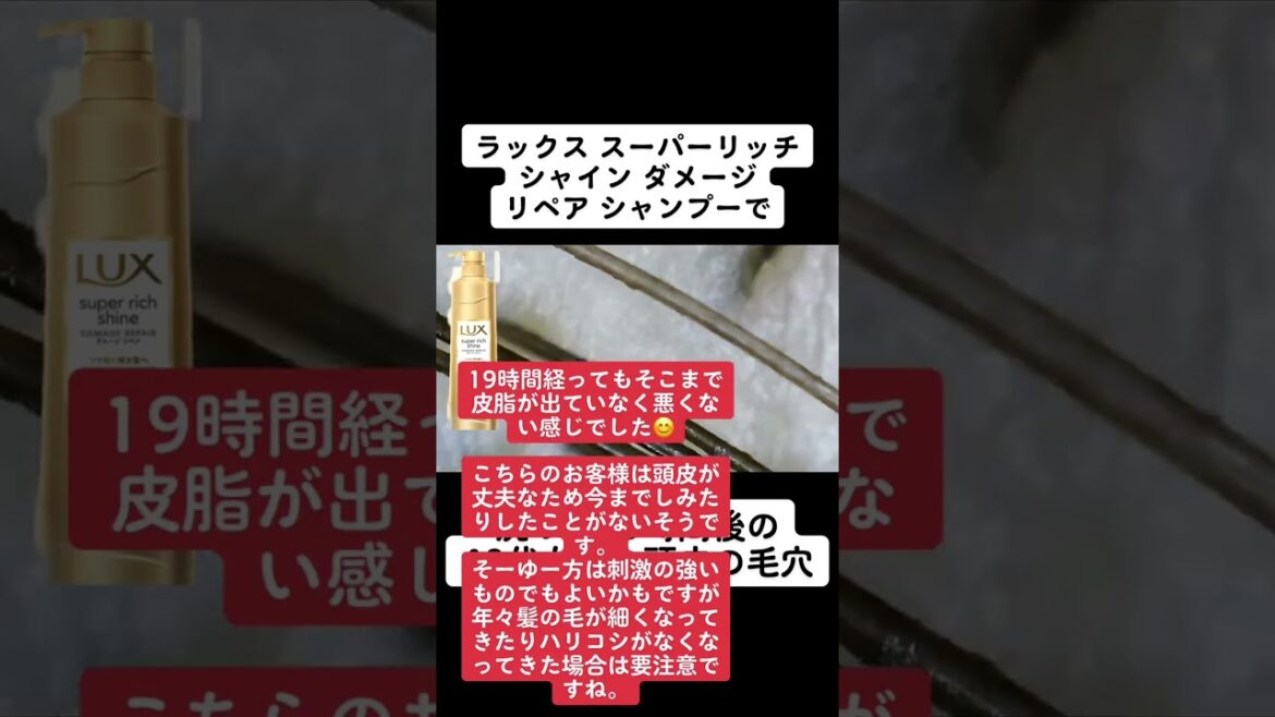 LUX スーパーリッチ シャイン ダメージリペア シャンプーで洗って19時間後の頭皮は？ #シャンプー #美容 #頭皮 #shorts #皮脂
