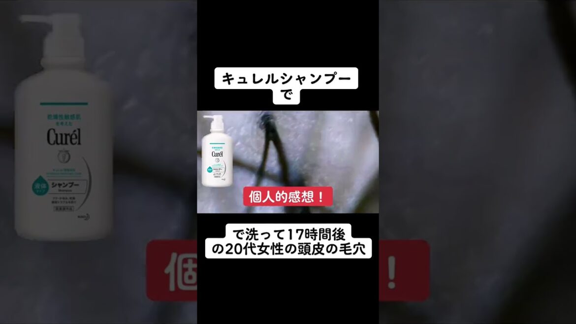 キュレル シャンプーで洗って17時間後の頭皮は？ #シャンプー #美容 #頭皮 #shorts #皮脂