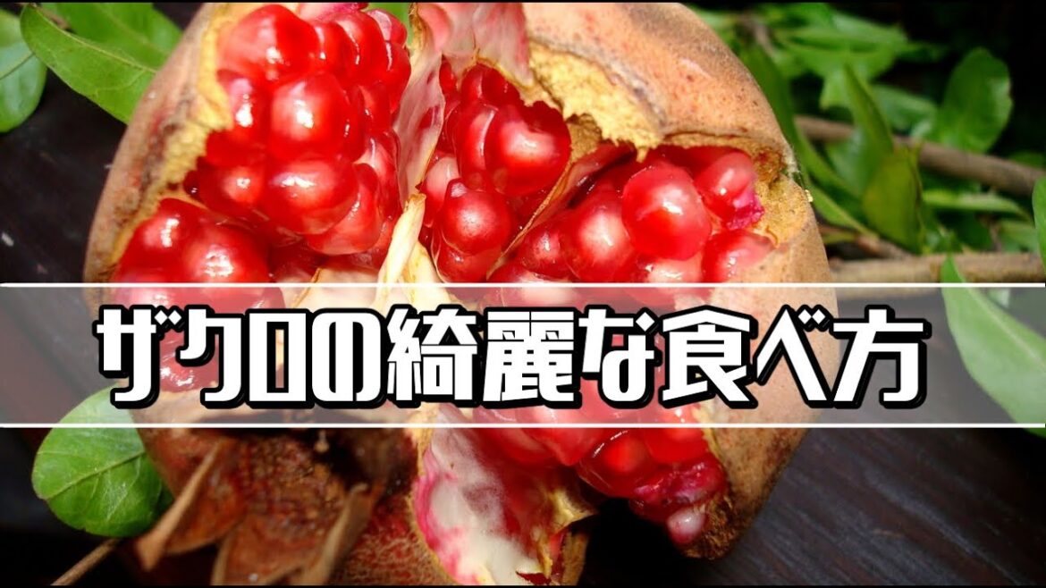 【ザクロの食べ方】ちょっと覚えておくと便利なザクロの綺麗な食べ方 【ザクロの食べ方】ちょっと覚えておくと便利なザクロの綺麗な食べ方