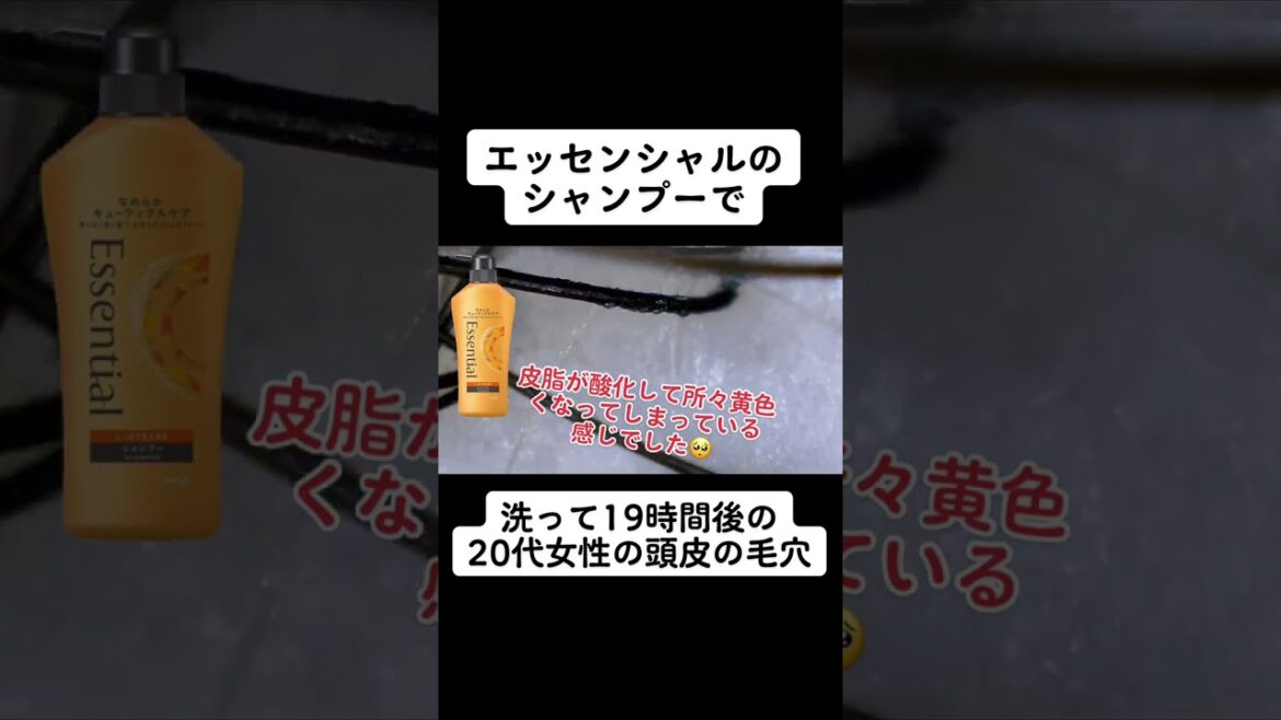 エッセンシャル シャンプーで洗って19時間後の頭皮は？ #シャンプー #美容 #頭皮 #shorts