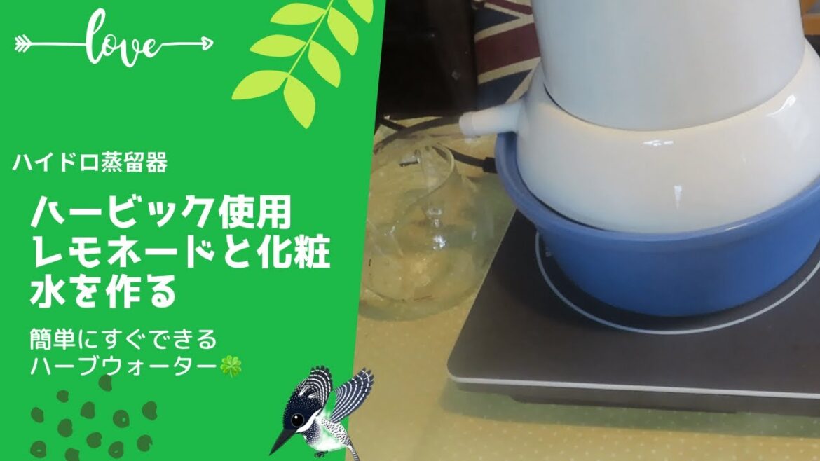 〔庭16〕レモンバームでレモネードと化粧水　ハーブウォーター蒸留ハービック