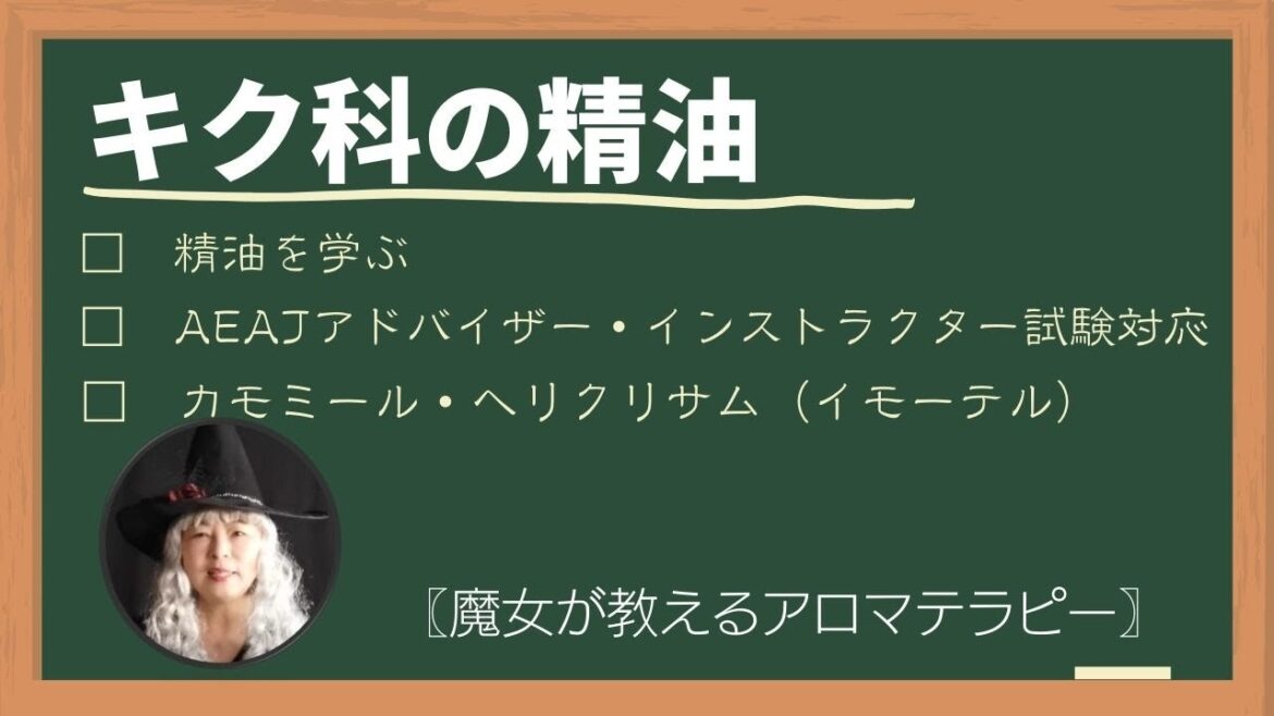 【アロマの学校】精油のお勉強”キク科の精油”カモミールだけじゃない、 ロクシタンのシリーズにも入っているイモーテル精油もキク科！