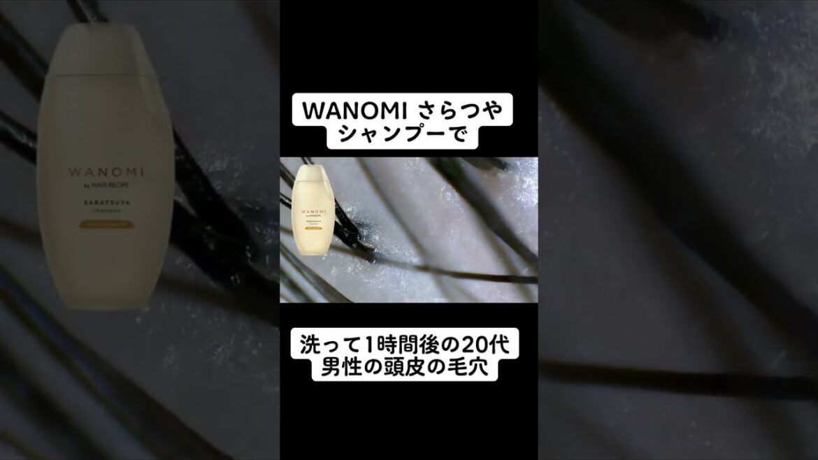 WANOMI さらつや シャンプーで洗って1時間後の頭皮は？ #シャンプー #美容 #頭皮 #皮脂 #shorts