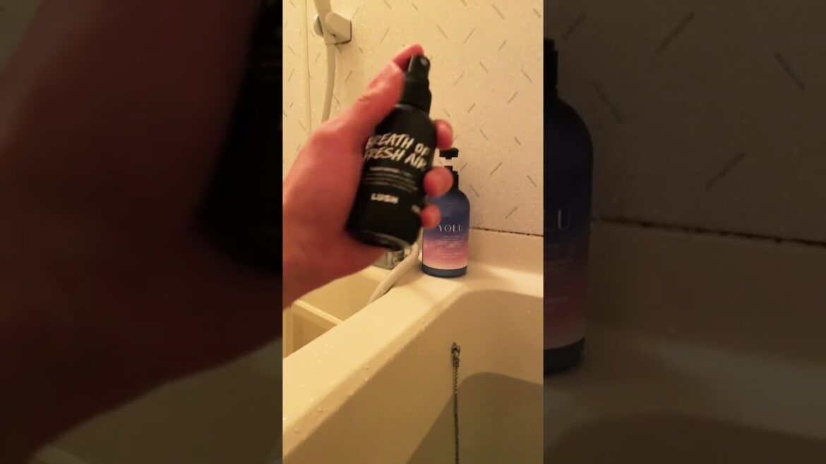 【LUSH】これめっちゃ良い香りする