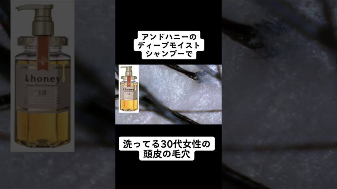 アンドハニーディープモイストシャンプーで洗うと？#美容 #シャンプー