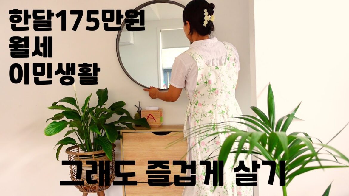 작은집이지만 조금씩꾸미고정리하기/샐러리쥬스마시는습관들이기/뉴질랜드이민생활