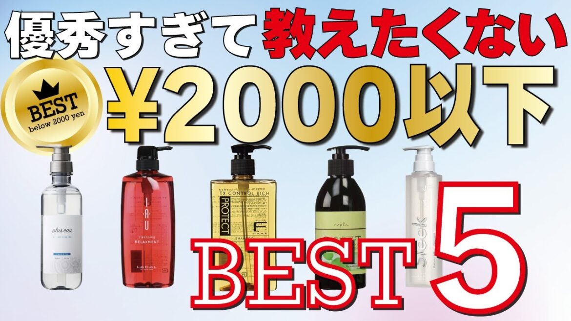 【2023最新】市販シャンプー！2000円ランキングベスト５を一挙紹介します！