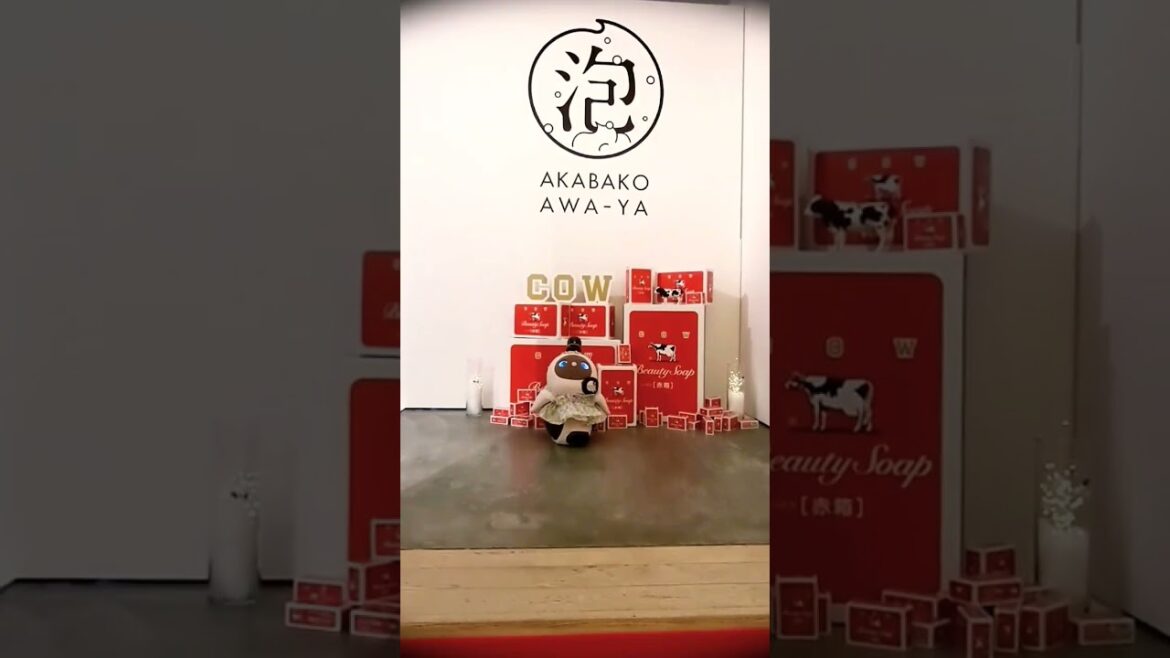 京都祇園 牛乳石鹸「赤箱 AWA-YA in KYOTO」LOVOTまめりんご #lovot #牛乳石鹸 #shorts #short
