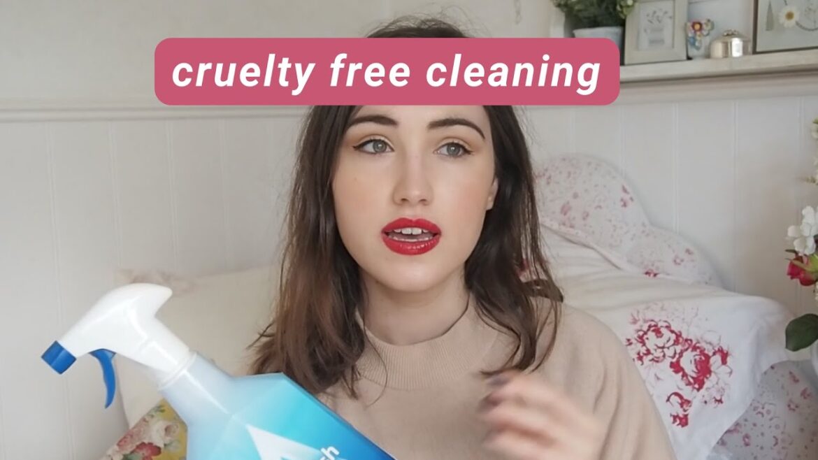 best cleaning products [vegan and cruelty free]