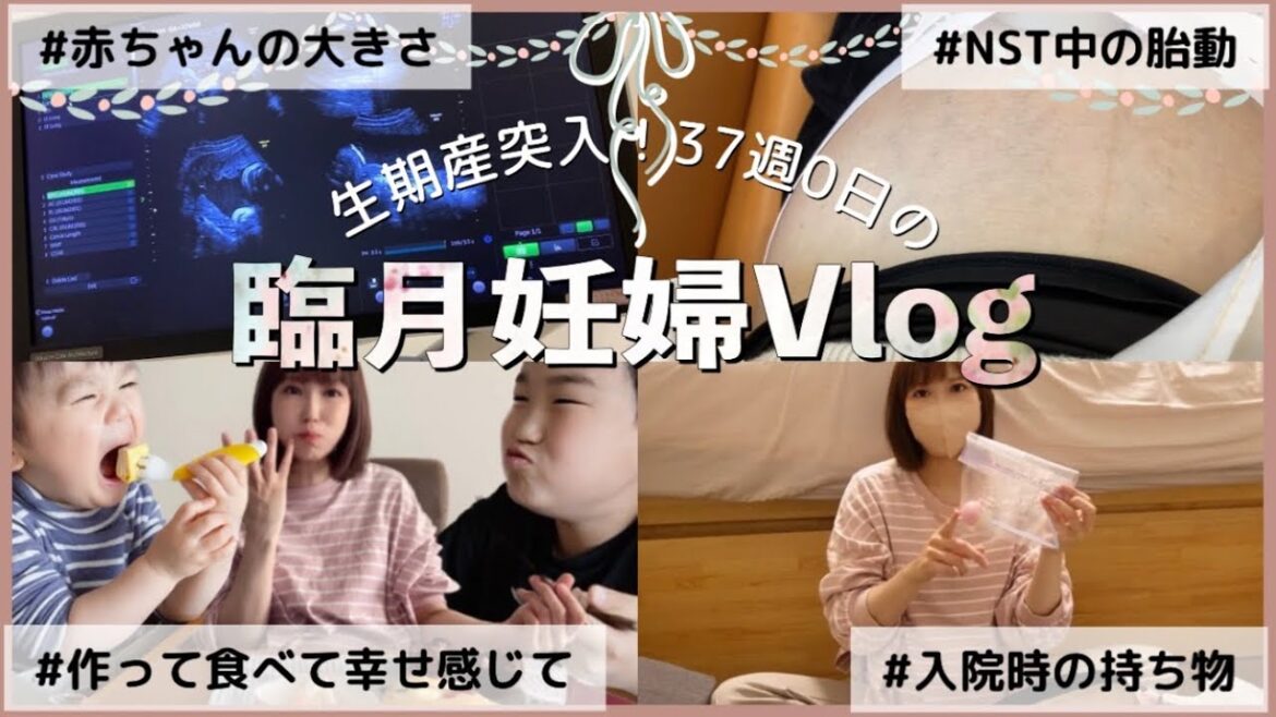 【臨月…生期産突入！】妊娠37週時点の赤ちゃんの大きさ/NST中にお腹の赤ちゃんとコミュニケーション(胎動)/甘い物欲が止まらない…/入院時の持ち物ざっくり★