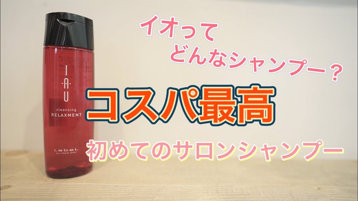 【格安サロン専売品シャンプー】イオシャンプー 頭皮に優しいシリコンフリーシャンプー 【格安サロン専売品シャンプー】イオシャンプー 頭皮に優しいシリコンフリーシャンプー