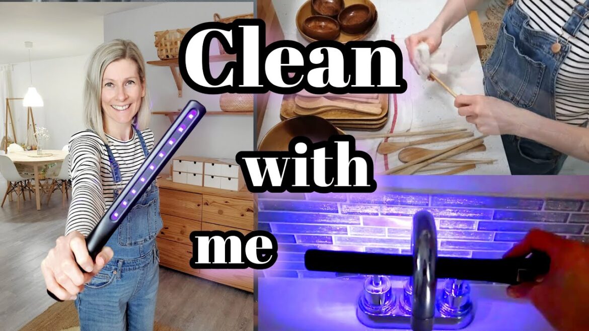 NEW! CLEAN WITH ME most efficient and fastest way to sanitize NEW! CLEAN WITH ME most efficient and fastest way to sanitize