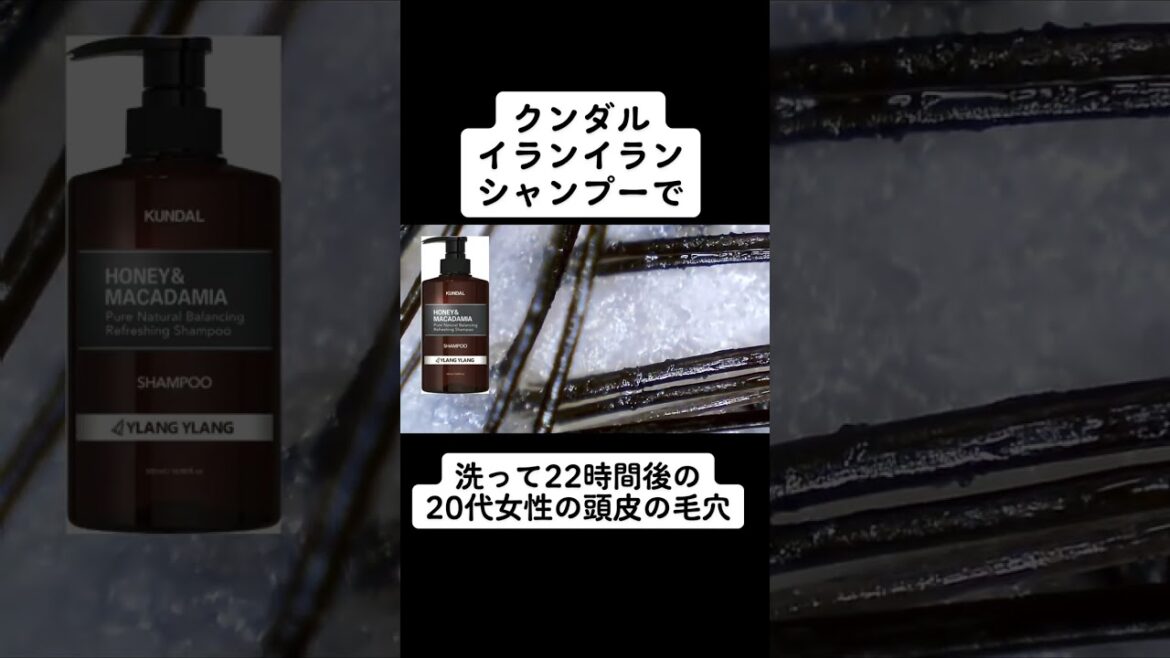 クンダル イランイラン シャンプーで洗って22時間後の頭皮は？ #シャンプー #美容 #頭皮 #shorts #皮脂