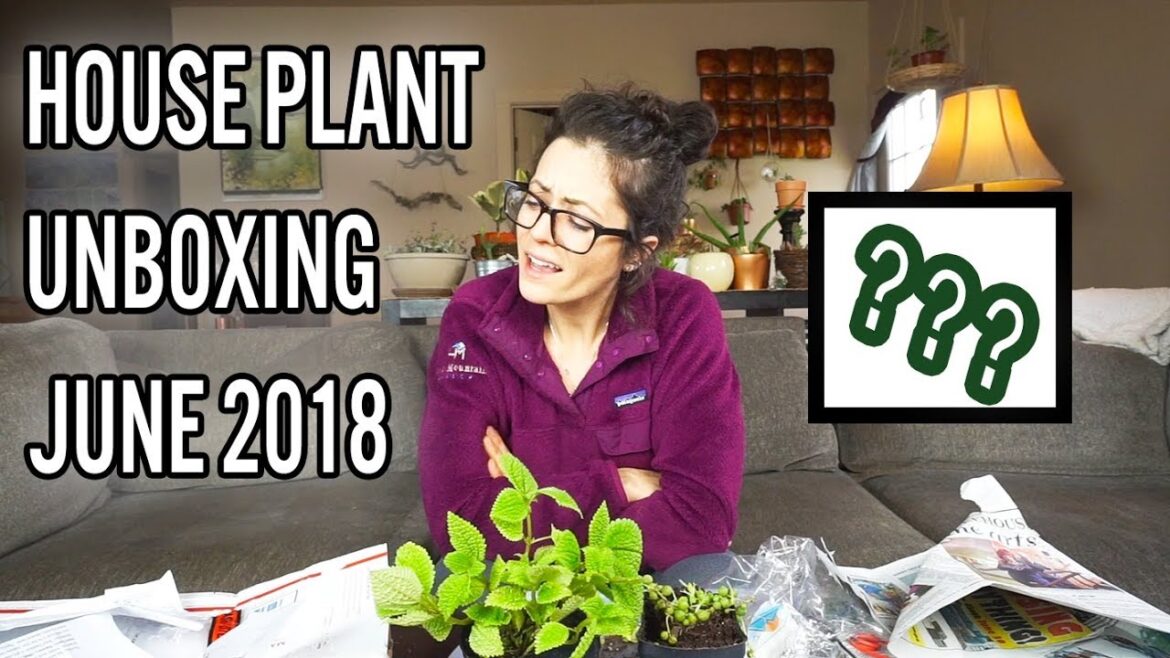 Houseplant Haul 2018 | Unboxing Surprise