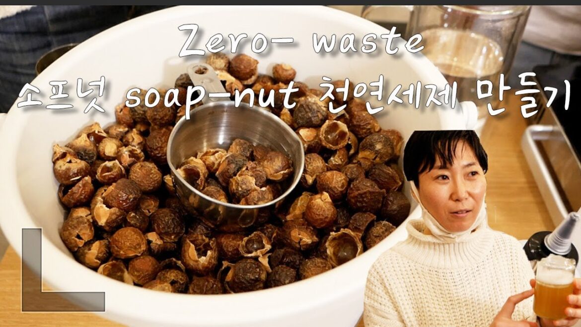 (SUB) 제로 웨이스트 알맹 워크숍3 | 소프넛(soap-nut) 올인원 물비누 세제 만들기 | 소프넛 사용방법  | 주방세제 천연세제 만들기