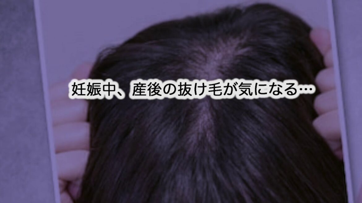 ホルモンバランス☆妊娠中・産後の抜け毛、薄毛に専用育毛剤