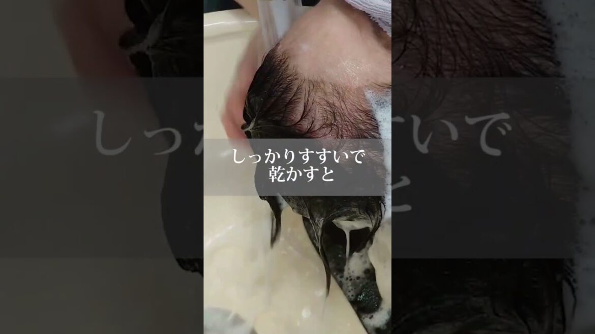 いつまでも美しく。大人のヘアケア　#リントワ使ってみた　※カラー+ワンシャン後