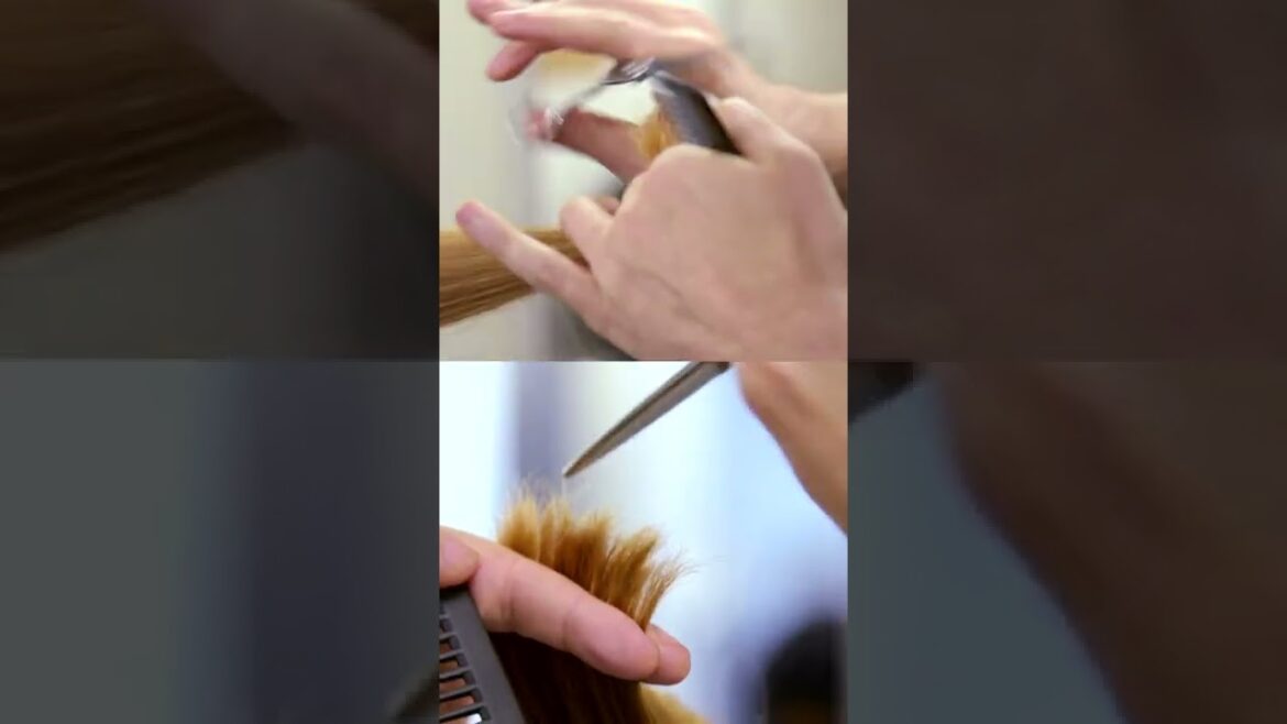 Cut + Bond-Building Style Feat. 2A Hair | Aveda Cut + Bond-Building Style Feat. 2A Hair | Aveda