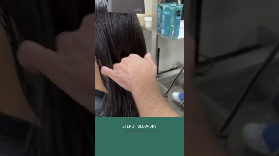 Cut Plus Bond-Building Style with 1B Hair | Aveda