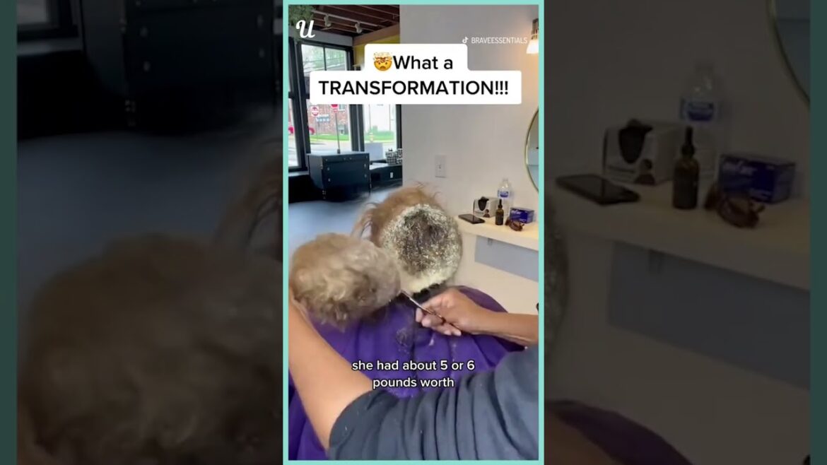 INSANE Matted Hair Transformation! 😱 | Ultimate