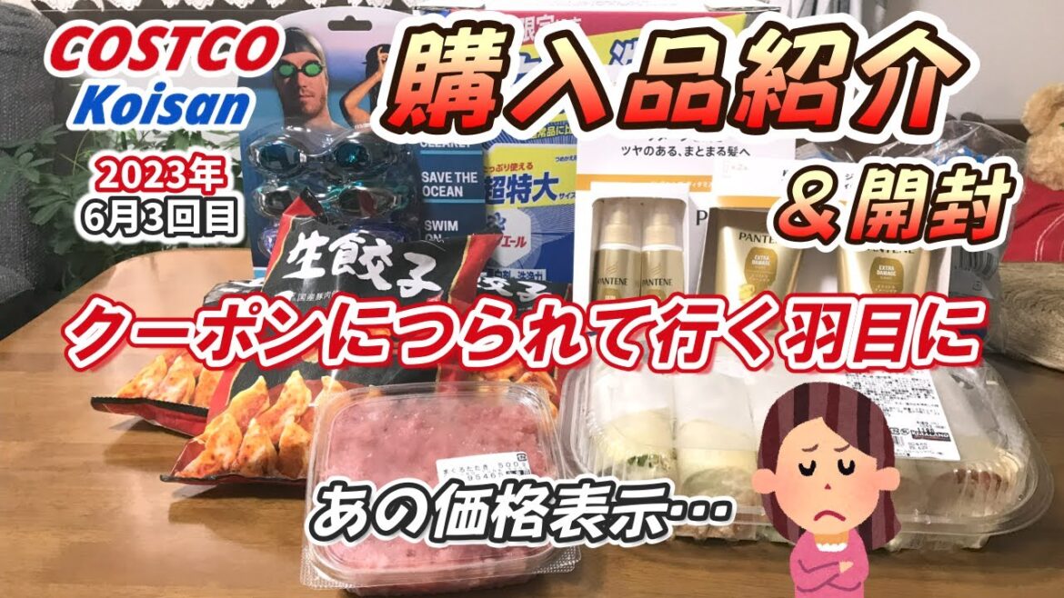 【コストコ】2023年6月3回目購入品/久しぶりのクーポン商品/お気に入りの商品が復活!