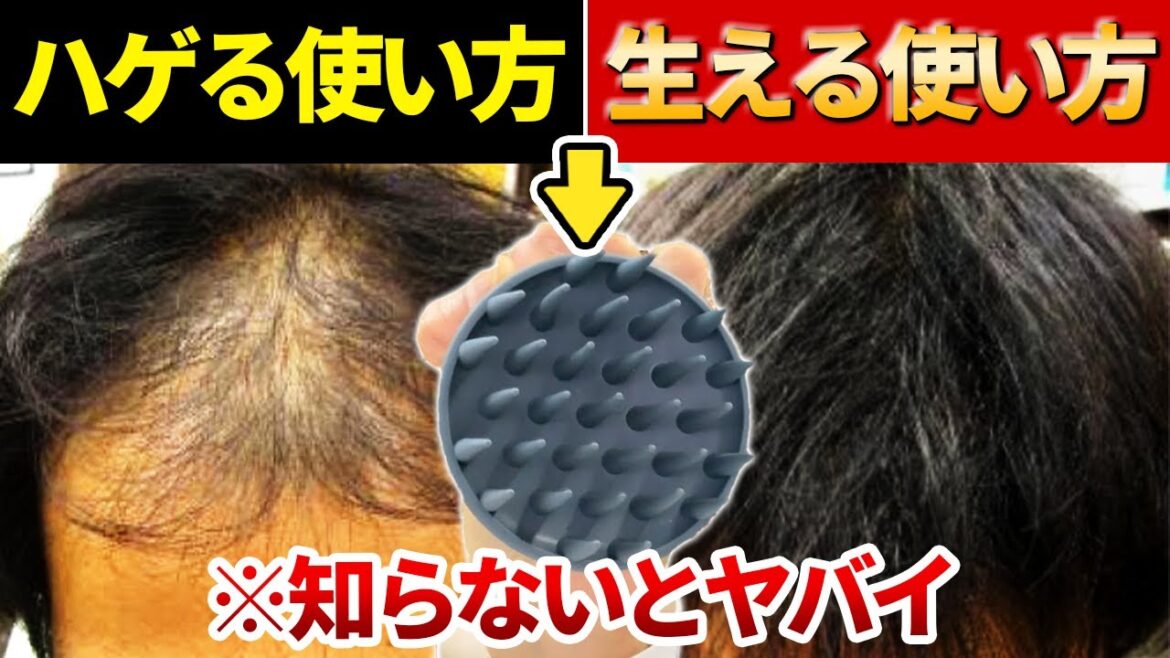 【プロが実演】シャンプーブラシの正しい使い方と選び方【薄毛改善】 【プロが実演】シャンプーブラシの正しい使い方と選び方【薄毛改善】