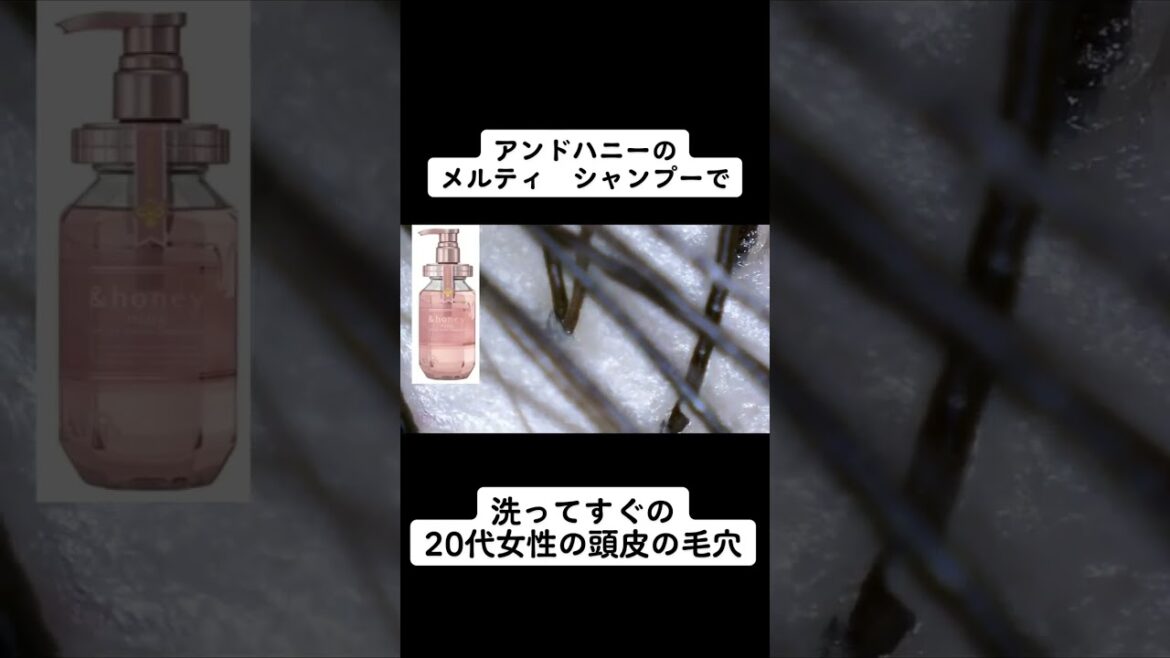 アンドハニーメルティシャンプーで洗うと？ #美容 #シャンプー #頭皮 #shorts