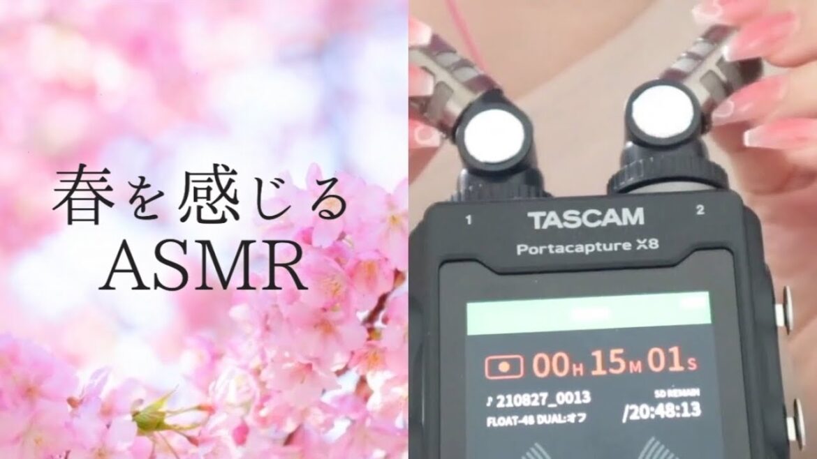 春。脳がリラックスして、気持ちいいASMRをあなたに🌸指耳かき、マッサージ、声つきBGMなど。寝落ち推奨