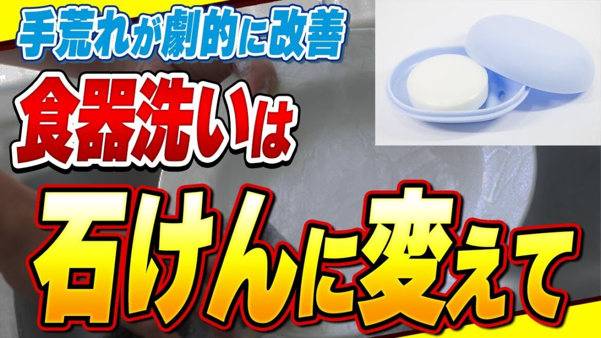 【危険】知らぬ間に化学物質を取り入れている!?使ってはいけない食器用洗剤【おすすめ食器洗剤】 【危険】知らぬ間に化学物質を取り入れている!?使ってはいけない食器用洗剤【おすすめ食器洗剤】