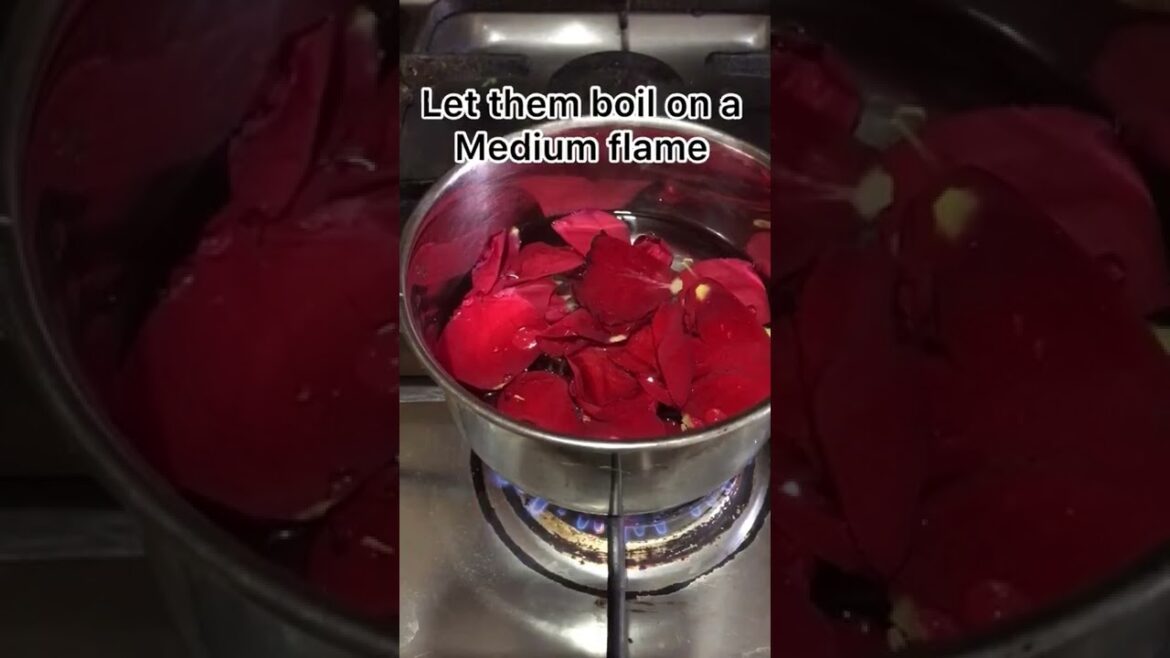 How To Make Rose Water At Home | Rose Petals | DIY Homemade Rose Water #youtubeshorts #rose